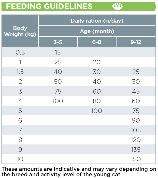 guidelines cat jun.png