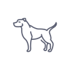 breeds-icons11-resize100x100.png