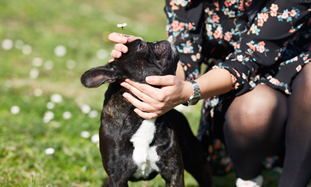 Worried about worms?