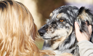 Toothbrushing – getting started!