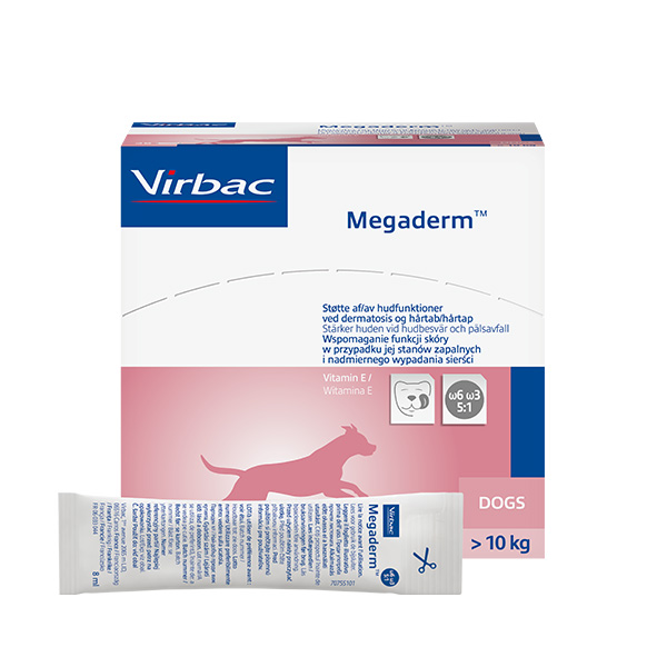 Megaderm dogs sales