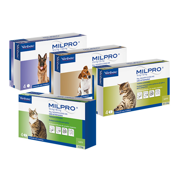 vermifuge chat milpro virbac